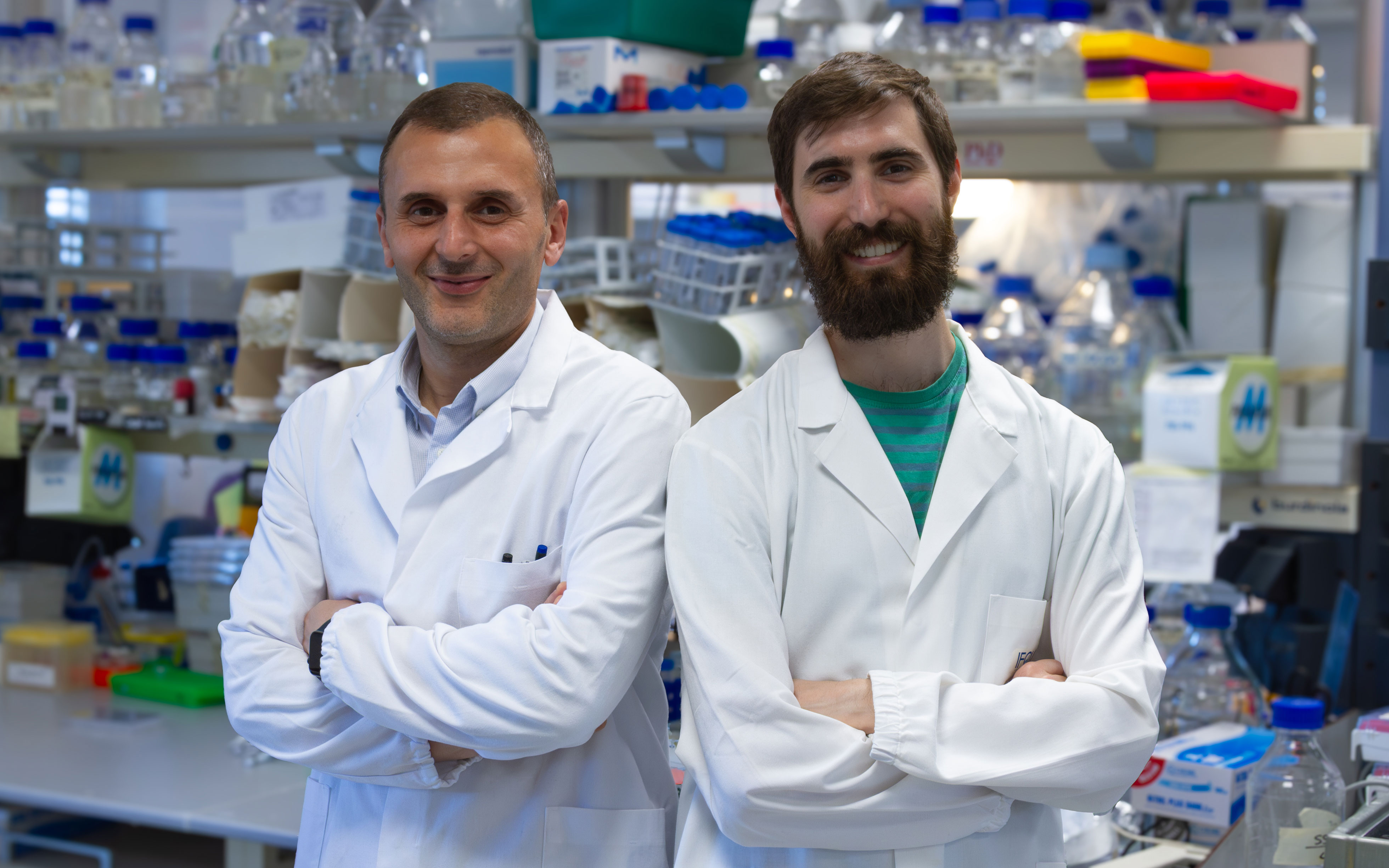 cover mol cell
