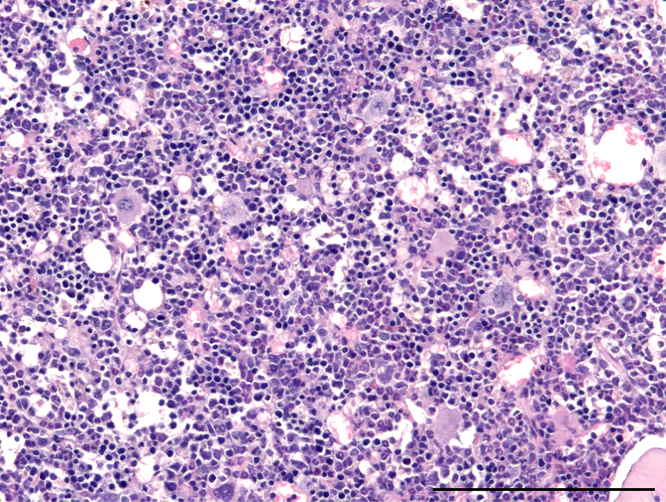 cover mol cell