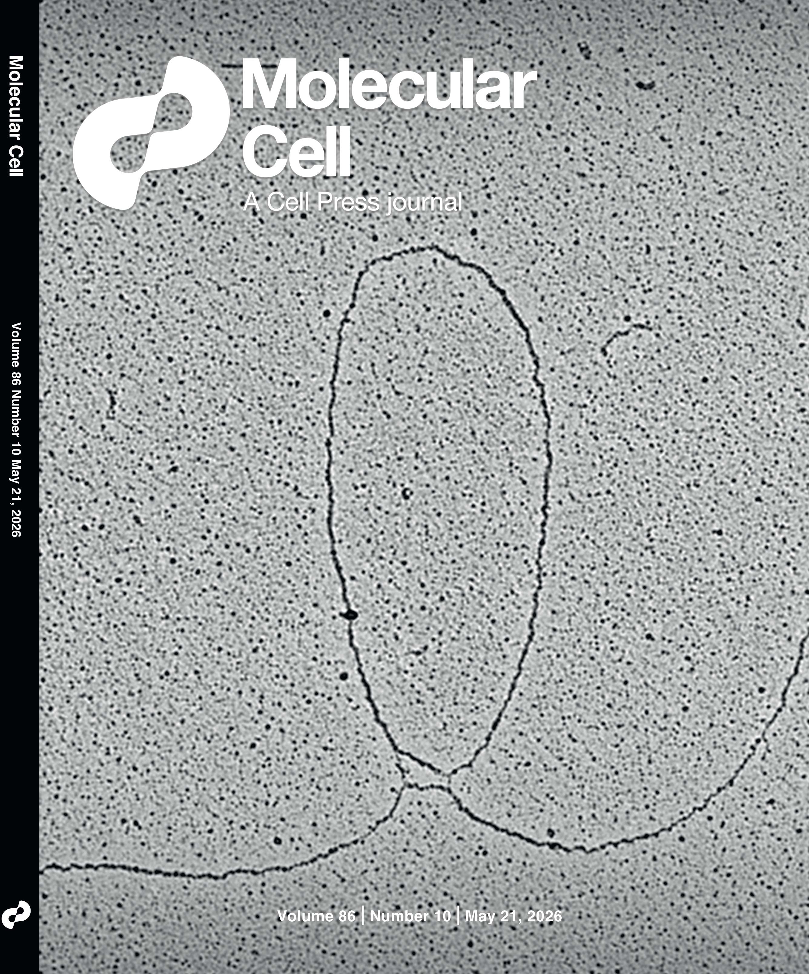 cover mol cell